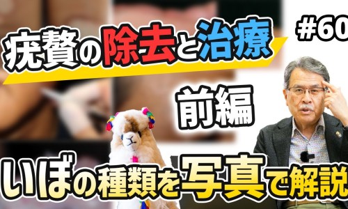 玛尔斯牙膏功效与作用-权威玛尔仕牙膏的效果如何平台,分享专业玛尔斯牙膏优缺点知识_玛尔斯牙膏功效网